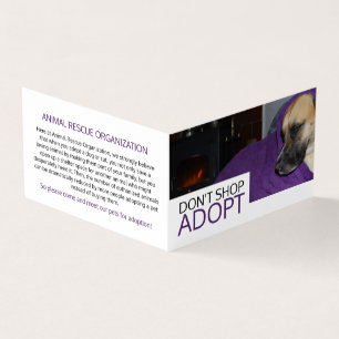 Carte De Visite Cosy Dog, Pet Adoption Détail