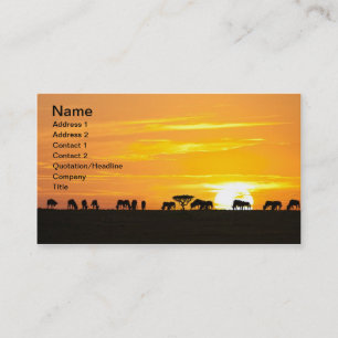 Carte De Visite Coucher de soleil dans le Serengeti