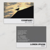 Carte De Visite Coucher de soleil de goélands argentés (Devant / Derrière)