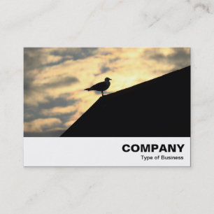 Carte De Visite Coucher de soleil de goélands argentés