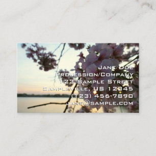 Carte De Visite Coucher de soleil sur les cerisiers en fleurs à Wa