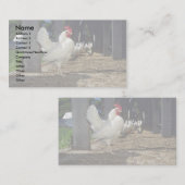Carte De Visite Couches (poules et coqs) (Devant / Derrière)