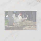 Carte De Visite Couches (poules et coqs) (Dos)