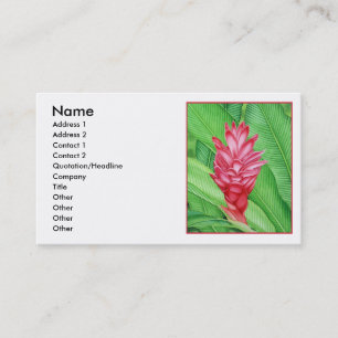 Carte De Visite Couleur pour aquarelle de gingembre rouge