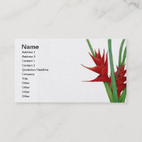 Couleur pour aquarelle rouge de Heliconia