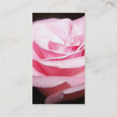 Carte De Visite Couleur rose de Rose-coutume (Dos)