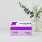 Carte De Visite Couleurs de bande centrale - pourpre - vache (Debout devant)