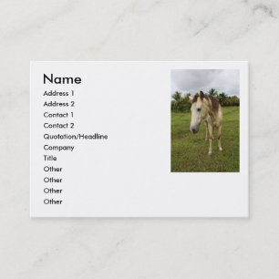 Carte De Visite Course,