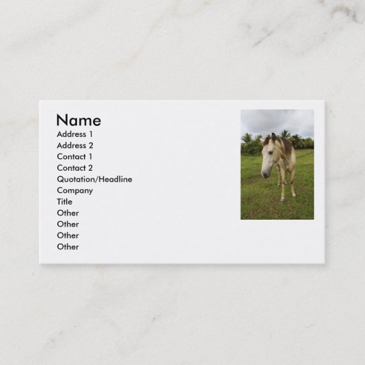 Carte De Visite Course (Devant)