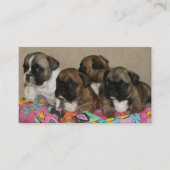 Carte De Visite Coussin bouledogues français Bulldogue français (Devant)