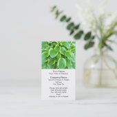 Carte De Visite Coutume botanique de jardin d'usine verte de Hosta (Debout devant)