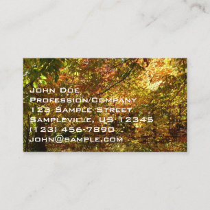 Carte De Visite Couvert de feuilles d'automne II Photographie d'au