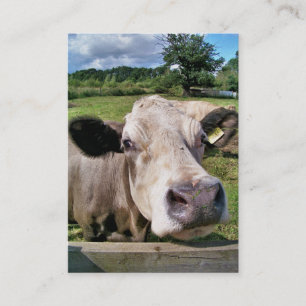 Carte De Visite COW Cute