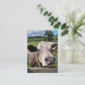 Carte De Visite COW Cute (Debout devant)