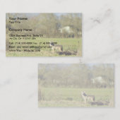 Carte De Visite Coyote (Devant / Derrière)