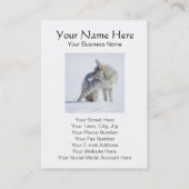 Carte De Visite Coyote de guide de faune de neige, écologiste (Dos)