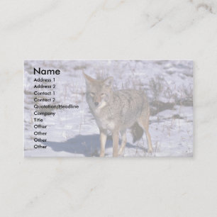 Carte De Visite Coyote sur la neige