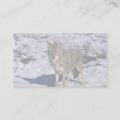 Carte De Visite Coyote sur la neige (Dos)