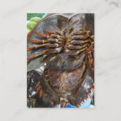 Carte De Visite Crabe à fer à cheval ... Restauration asiatique th (Dos)