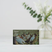 Carte De Visite Crabe de fantôme (Debout devant)