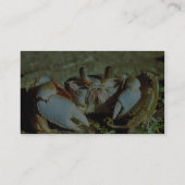 Carte De Visite Crabe de fantôme (Dos)
