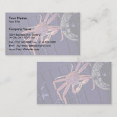 Carte De Visite Crabe de Tanner (Devant / Derrière)