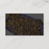 Carte De Visite Crawdads d'écrevisses (Dos)