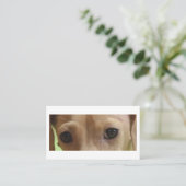 Carte De Visite Crème Dachshund Eyes (Debout devant)