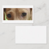 Carte De Visite Crème Dachshund Eyes (Devant / Derrière)