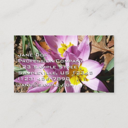 Carte De Visite Crocus roses Floral de printemps (Devant)