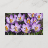 Carte De Visite Crocus violets ensoleillés (Dos)