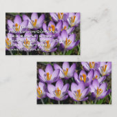 Carte De Visite Crocus violets ensoleillés (Devant / Derrière)