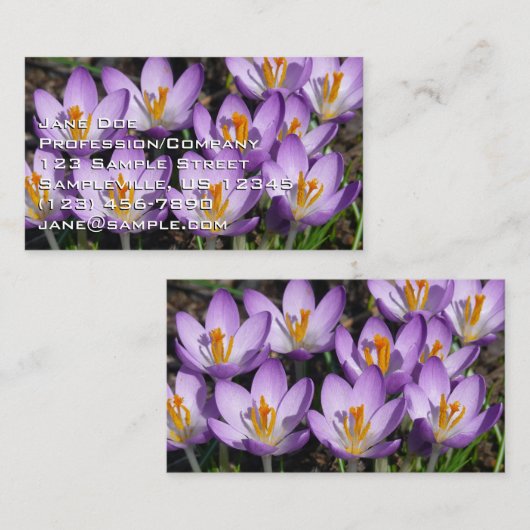 Carte De Visite Crocus violets ensoleillés (Devant / Derrière)