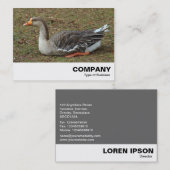 Carte De Visite Croix du cygne gris (Devant / Derrière)