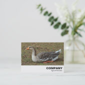 Carte De Visite Croix du cygne gris (Debout devant)