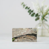 Carte De Visite Crotale dans le parc national de Shenandoah (Debout devant)