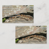 Carte De Visite Crotale dans le parc national de Shenandoah (Devant / Derrière)