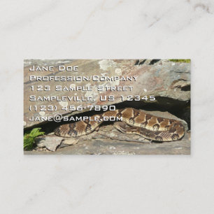 Carte De Visite Crotale dans le parc national de Shenandoah