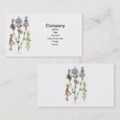 Carte De Visite Cru de chicorée botanique (Devant / Derrière)