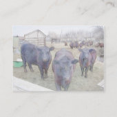 Carte De Visite Curieux Jeune Angus Noir (Dos)