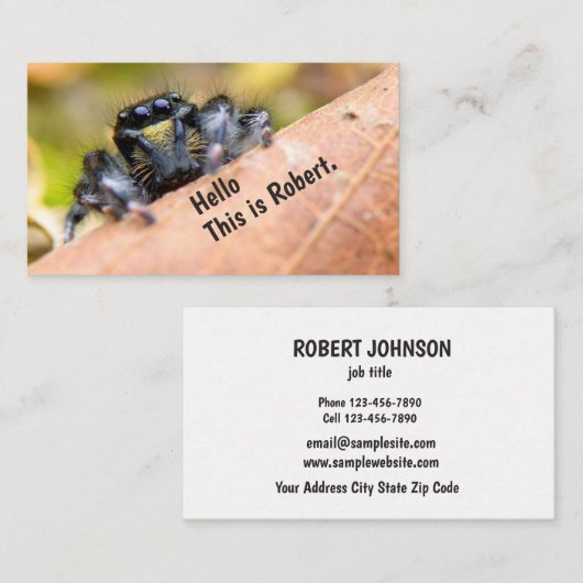 Carte De Visite Curiosity Intrigued Hello (Image originale) © (Devant / Derrière)