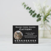 Carte De Visite Customizable Maine Coon Cattery Business Card (Debout devant)