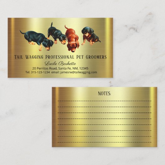 Carte De Visite Cute Dachshund Doxie Pups Animal Grooming Gold Chi (Devant / Derrière)