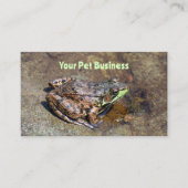 Carte De Visite Cute Frog Sur Les Rochers Dans L'Eau (Devant)