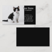 Carte De Visite Cute Funny chaton noir et blanc (Devant / Derrière)