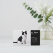 Carte De Visite Cute Funny chaton noir et blanc (Debout devant)