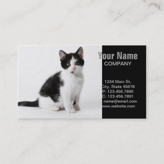 Carte De Visite Cute Funny chaton noir et blanc (Devant)