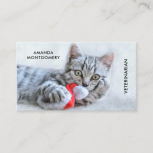 Carte De Visite Cute Grey Tabby Chat Noël Casquette Noël Noël Noël