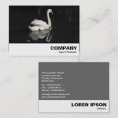 Carte De Visite Cygne (Devant / Derrière)