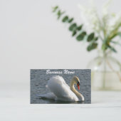 Carte de visite cygne (Debout devant)